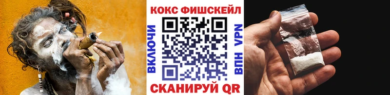 Cocaine Fish Scale Владимир